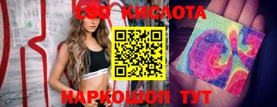 MDMA Кудрово