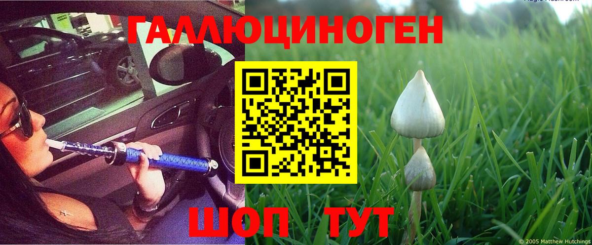 Галлюциногенные грибы GOLDEN TEACHER  Вход с VPN  Елабуга  Псилоцибиновые грибы GOLDEN TEACHER 